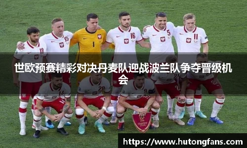 世欧预赛精彩对决丹麦队迎战波兰队争夺晋级机会